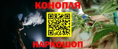 мдпв Татарск