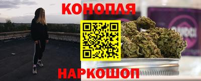мдпв Татарск
