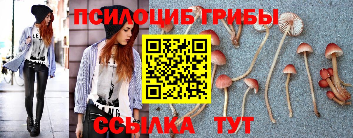Псилоцибиновые грибы Magic Shrooms  Вход с VPN  Осинники 
